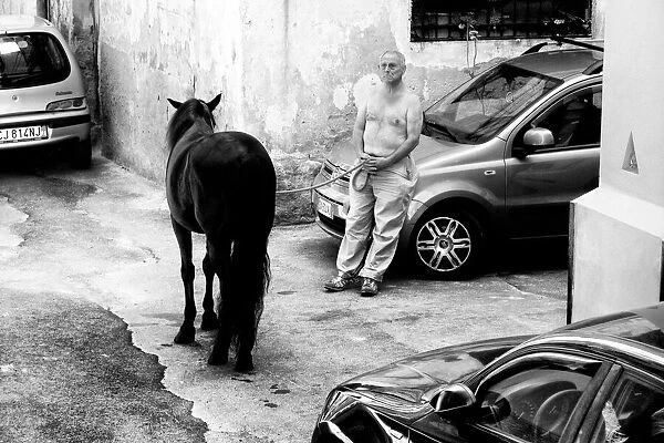 Man with Horse in Palermo Sicily