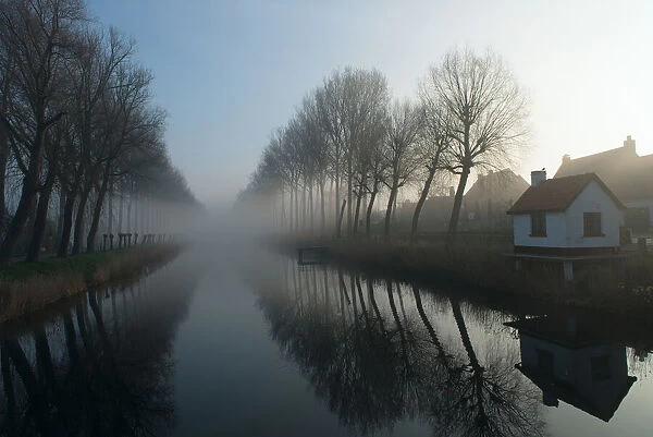 Mist across the Canal