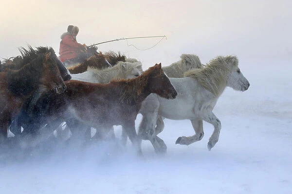 Mongolia winter