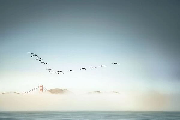 Morning low fog in Golden Gate Bridge