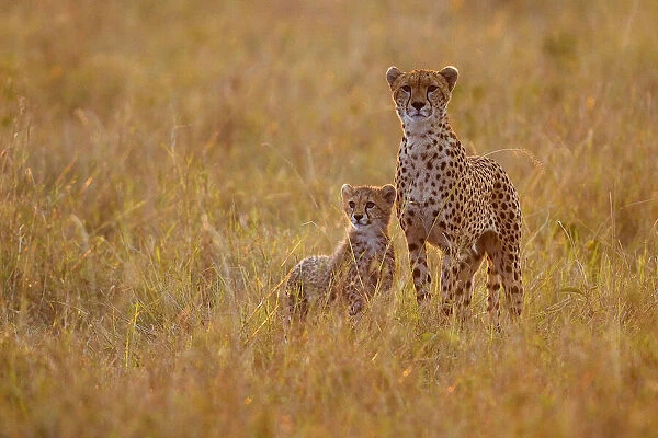 Mother and son