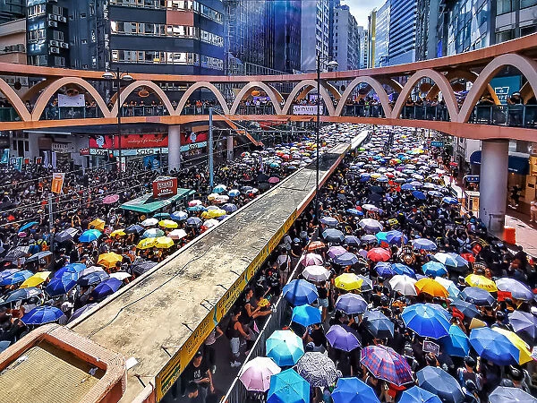People Holding Umbrellas