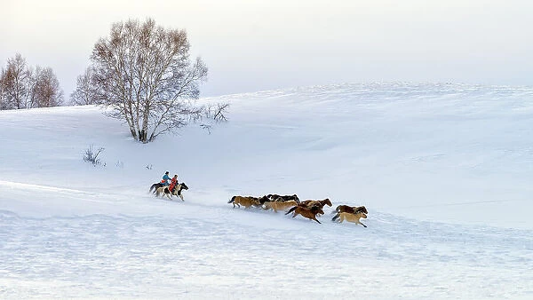 Racing on snow