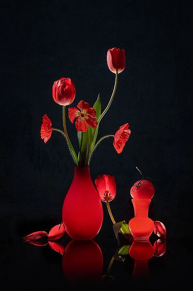 Red Tulip, Poppy and Tomato