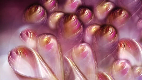Rosebuds. Creative edit from an abstract macro motif of colored gel filter. Heidi Westum