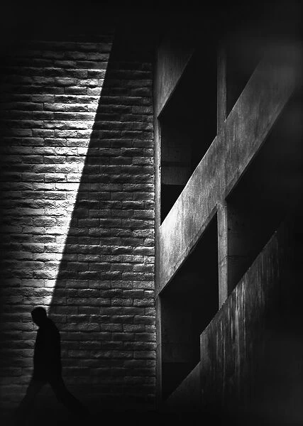 Shadows. Roxana Labagnara