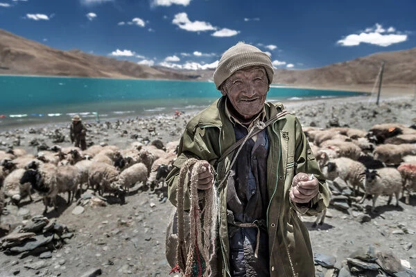 Smile shepherd (Tibetan)