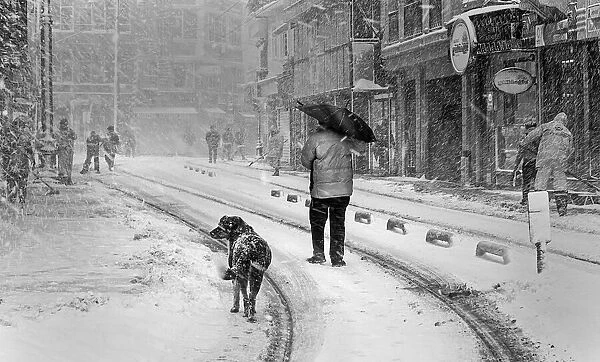 Snowy day ın İstanbul
