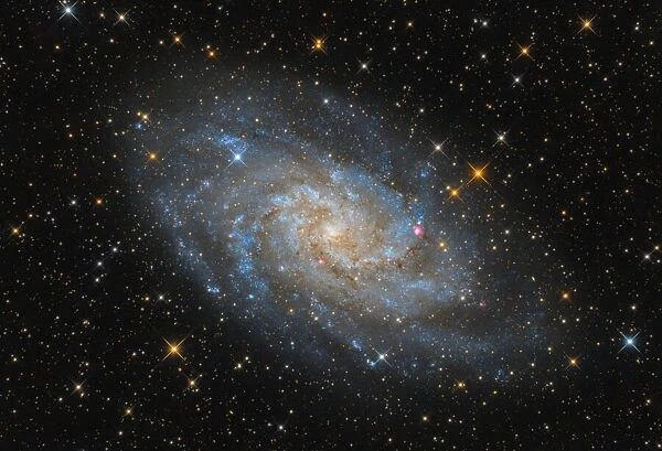 The Triangulum Galaxy - M33