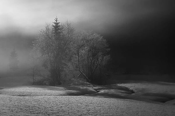 winter is painting in bw