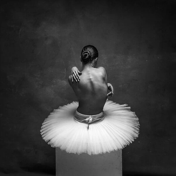 Grace. Young beautiful ballerina is posing in studio. Alexander Yakovlev