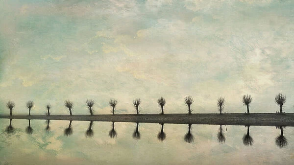 Trees. Ytje Veenstra