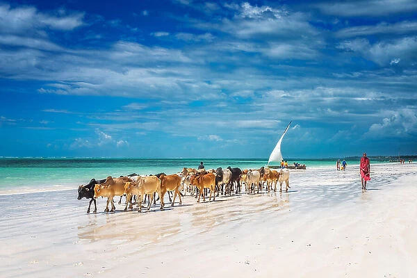 Zanzibar. Jeffrey C. Sink