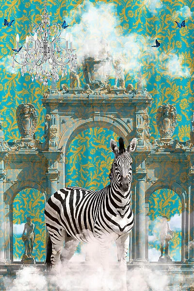 Zebra Adventures