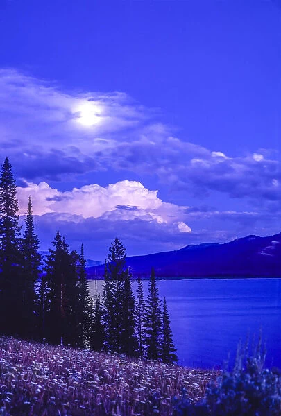 Moonlight over The Thorofare in the Upper Yellowstone River Valley, Yellowstone National Park, USA
