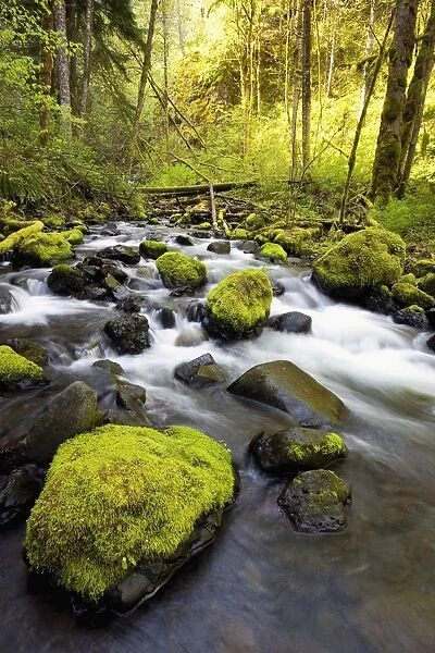 Water Flowing By Moss Covered Rocks In A Stream