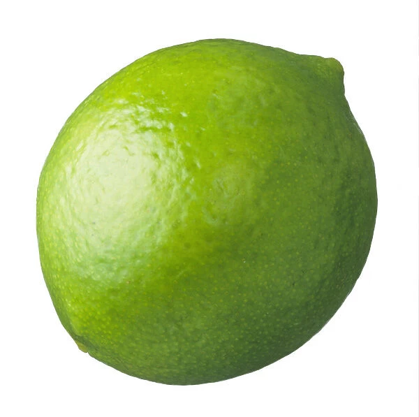 CS_3061. Citrus aurantiifolia. Lime. Green subject. White b / g