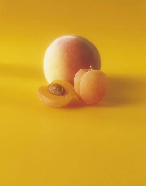 DM_0040. Prunus armeniaca. Apricot. Orange subject. Orange b / g