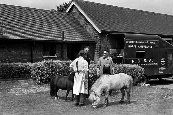 The Peoples dispensary for sick animals-PDSA Centre. July 1952 C3468-001