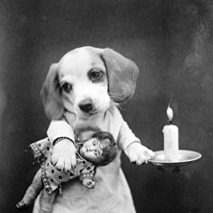 Beagle Puppy with Candle