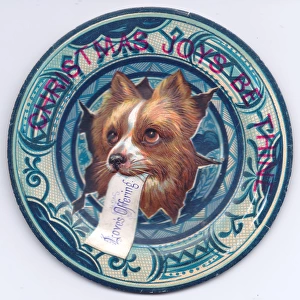 Dog on plate design on a Christmas card