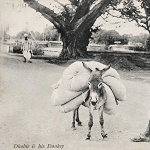 Indian Dhobie with his miniature donkey