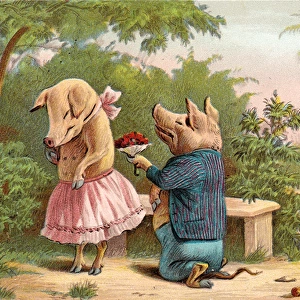 Pig proposal on a Valentine postcard