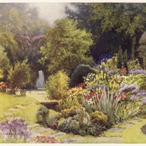 Rufford Abbey Garden