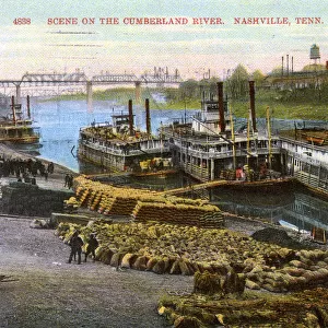 Scene on the Cumberland River, Nashville, Tennessee, USA