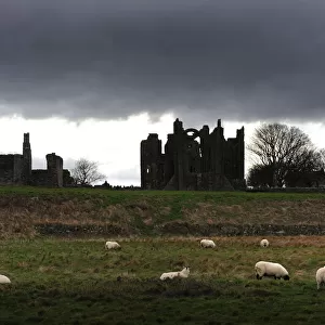 Winter silhouette of Lindisfarne priory, Holy Island