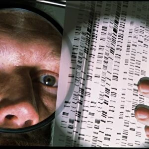 cientist studies DNA autoradiogram with magnifier