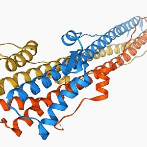 Haemagglutinin protein subunit F006 / 9479