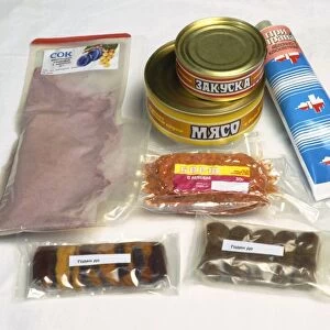 Russian space food