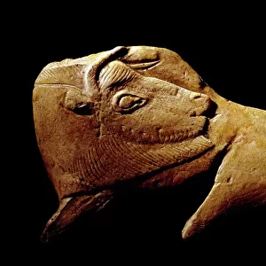 Stone Age carving, Magdalenian culture C014 / 2411