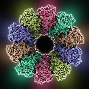 VSIV virus protein complex C015 / 6423