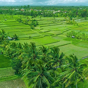 Aerial view of Kajeng Rice Field, Gianyar Regency, Bali, Indonesia, South East Asia, Asia