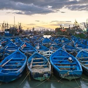 Blue boats in the old fishing port at sunset, Essaouira, Marrakesh-Safi, Morocco