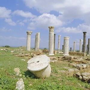 Columns of the 7th / 8th century Byzantine basilica at ancient Abila
