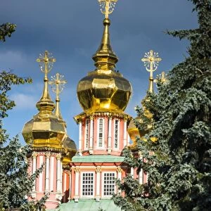 The golden domes of the Trinity Lavra of St. Sergius, UNESCO World Heritage Site, Sergiyev Posad, Golden Ring, Russia, Europe
