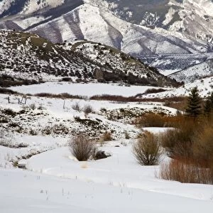 Landscape near Aspen