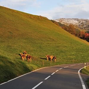 Road, Hasliberg, Berner Oberland, Switzerland, Europe