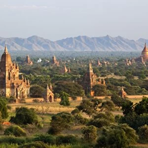 View over ancient temples from Shwesandaw temple, Bagan (Pagan), Central Myanmar, Myanmar (Burma), Asia