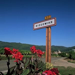 Village sign and flowers, Riquewihr, Haut-Rhin, Alsace, France, Europe