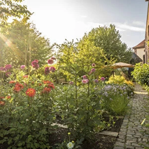 Perennial garden of Hornbach Monastery in Hornbach, Rhineland-Palatinate, Germany