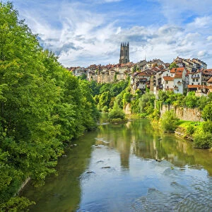 River Saane with old town and cathedral, Fribourg, Fribourg, Switzerland