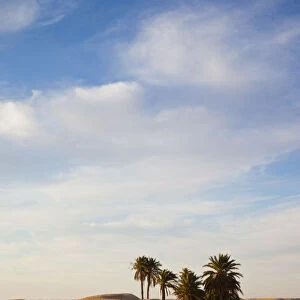 Tunisia, Sahara Desert, Douz, Great Dune
