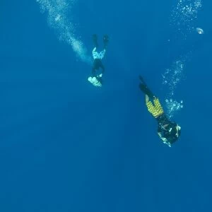 Divers. Zabargad, Red Sea, Egypt