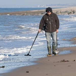 Man using metal detector on beach, near Granville, Manche, Normandy, France, December