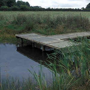 Ponds Wildlife Pond at Foxburrow Farm, Suffolk Wildlife Trust