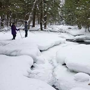 Stream in woodland after heavy snow, Robert Ingalls Preserve (Rensselaer Land Trust), Horsehaven Road, Rensselaer County, New York, U. S. A. december
